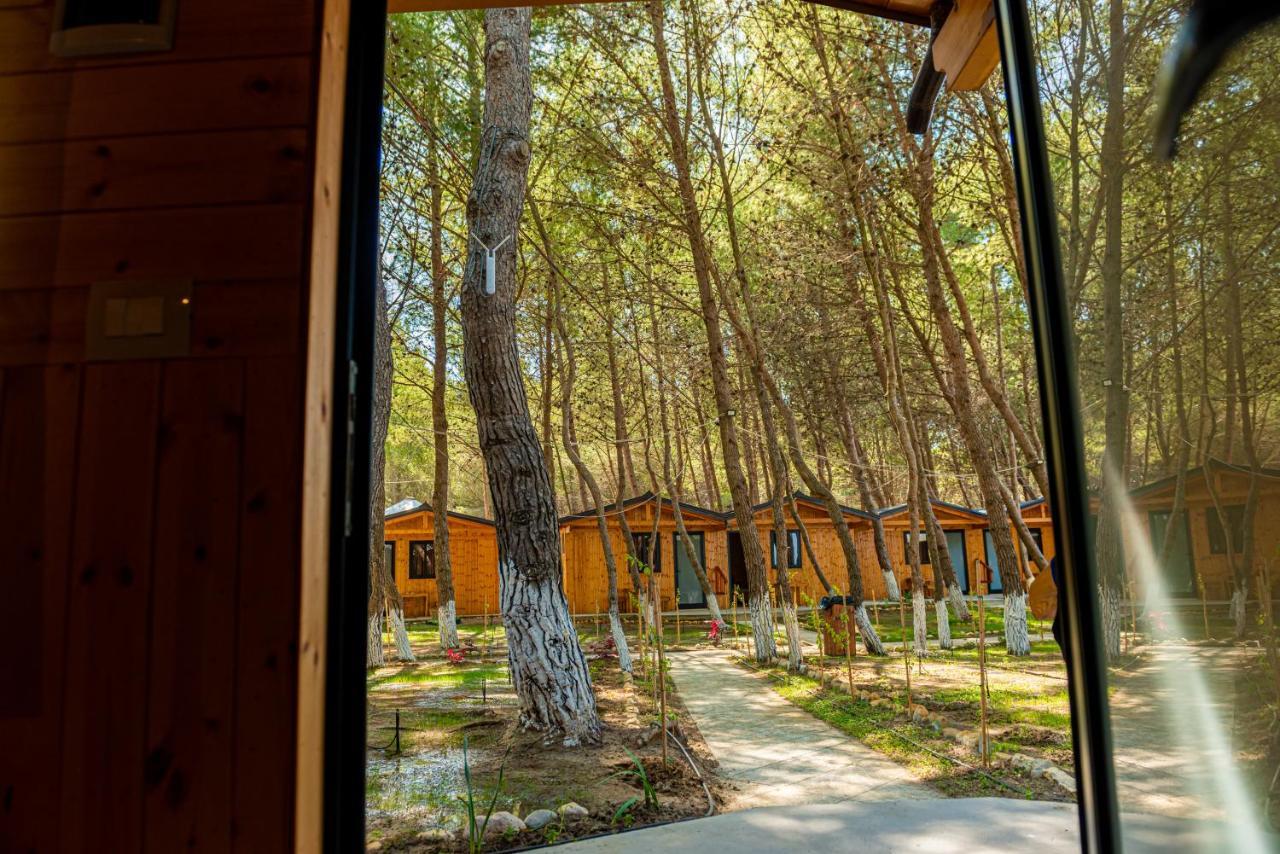 Ecuador Resort Zverneci Eksteriør bilde