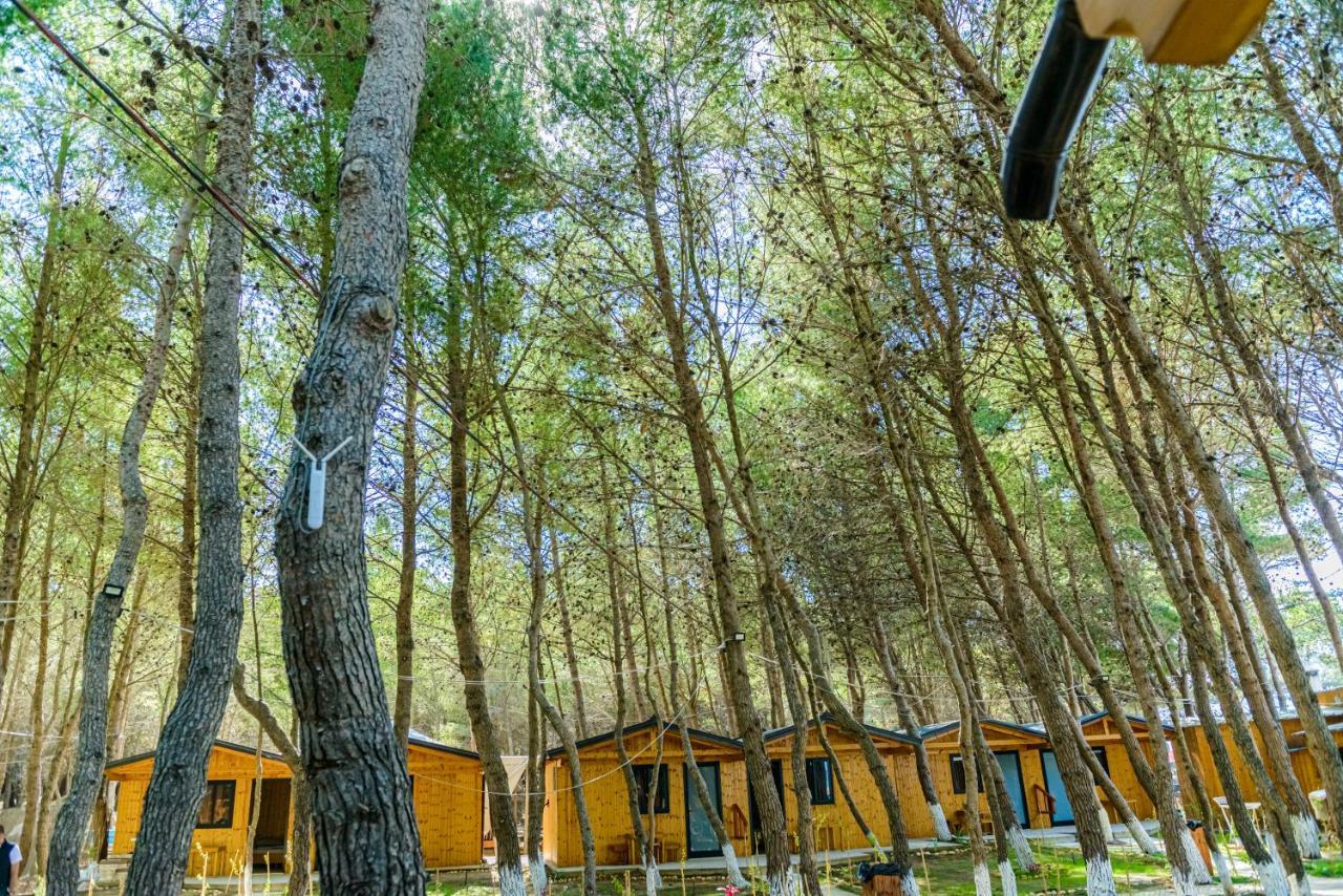Ecuador Resort Zverneci Eksteriør bilde